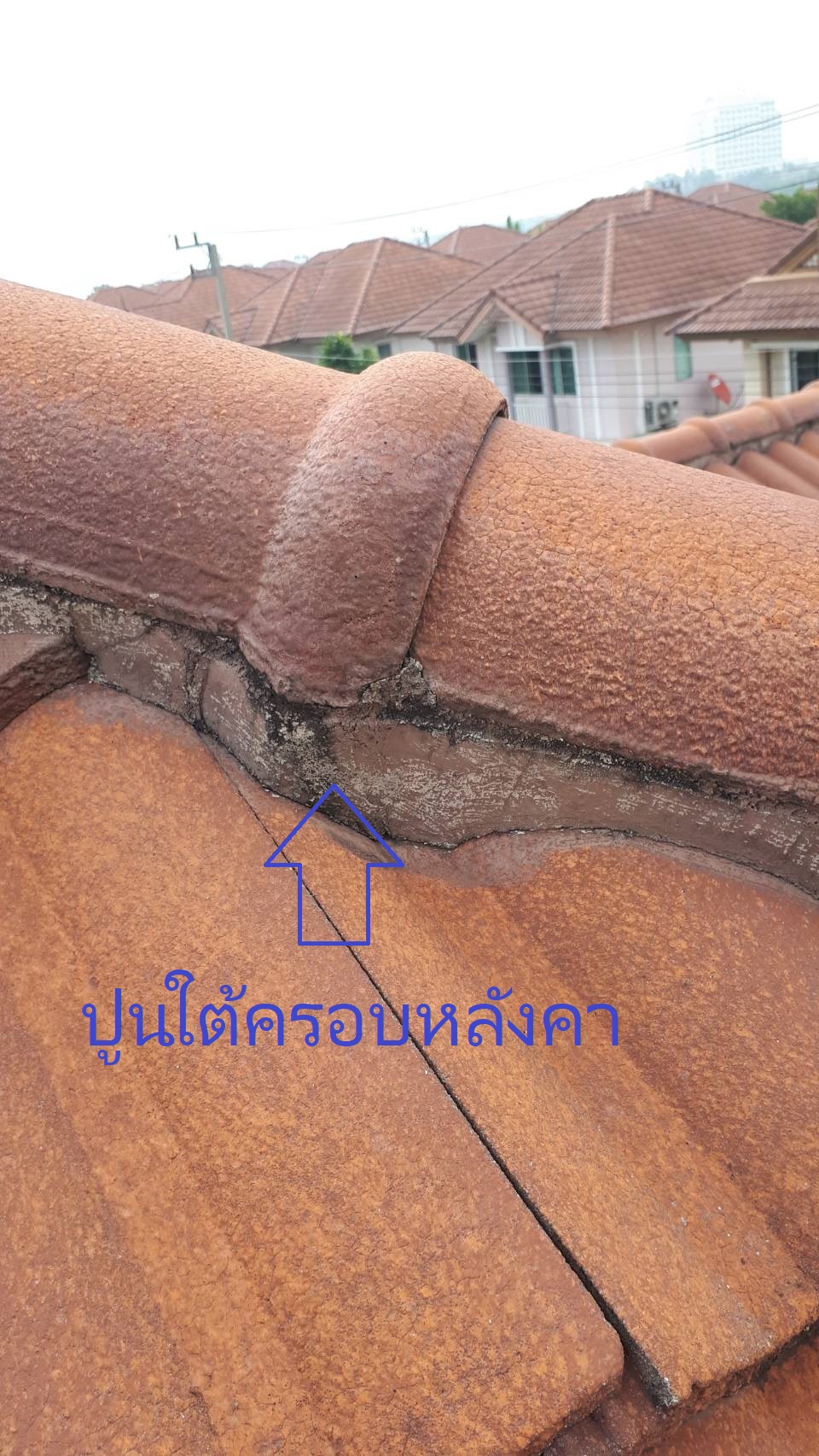 รูปภาพหลังคากระเบื้องคอนกรีต